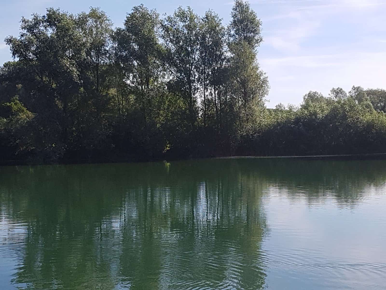 where to find carp in a lake