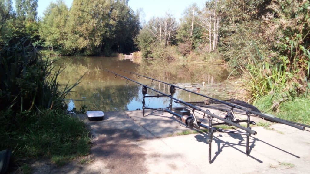 best carp fishing rods