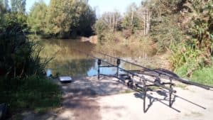 best carp fishing rods