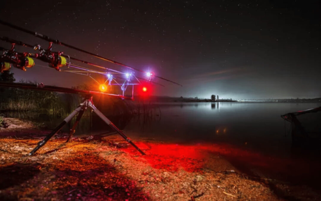 Carp fishing at night