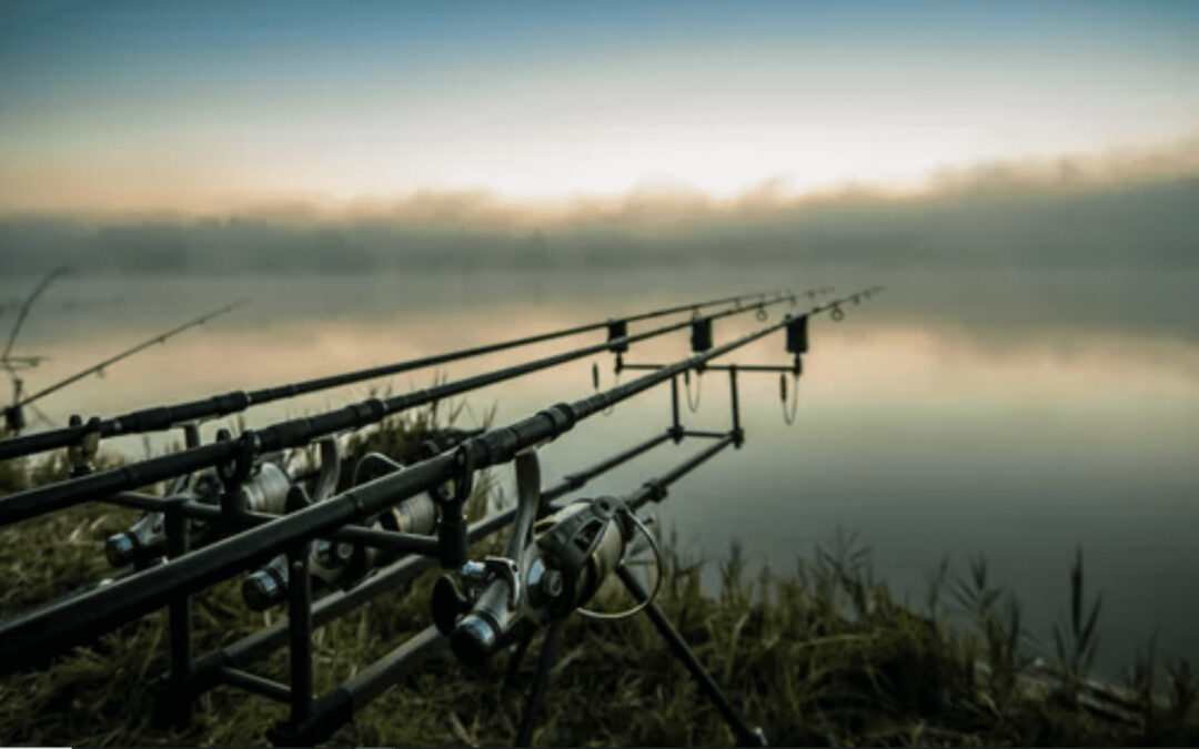 Carp Fishing Rod – The Essential Guide to Selecting a Quality Rod