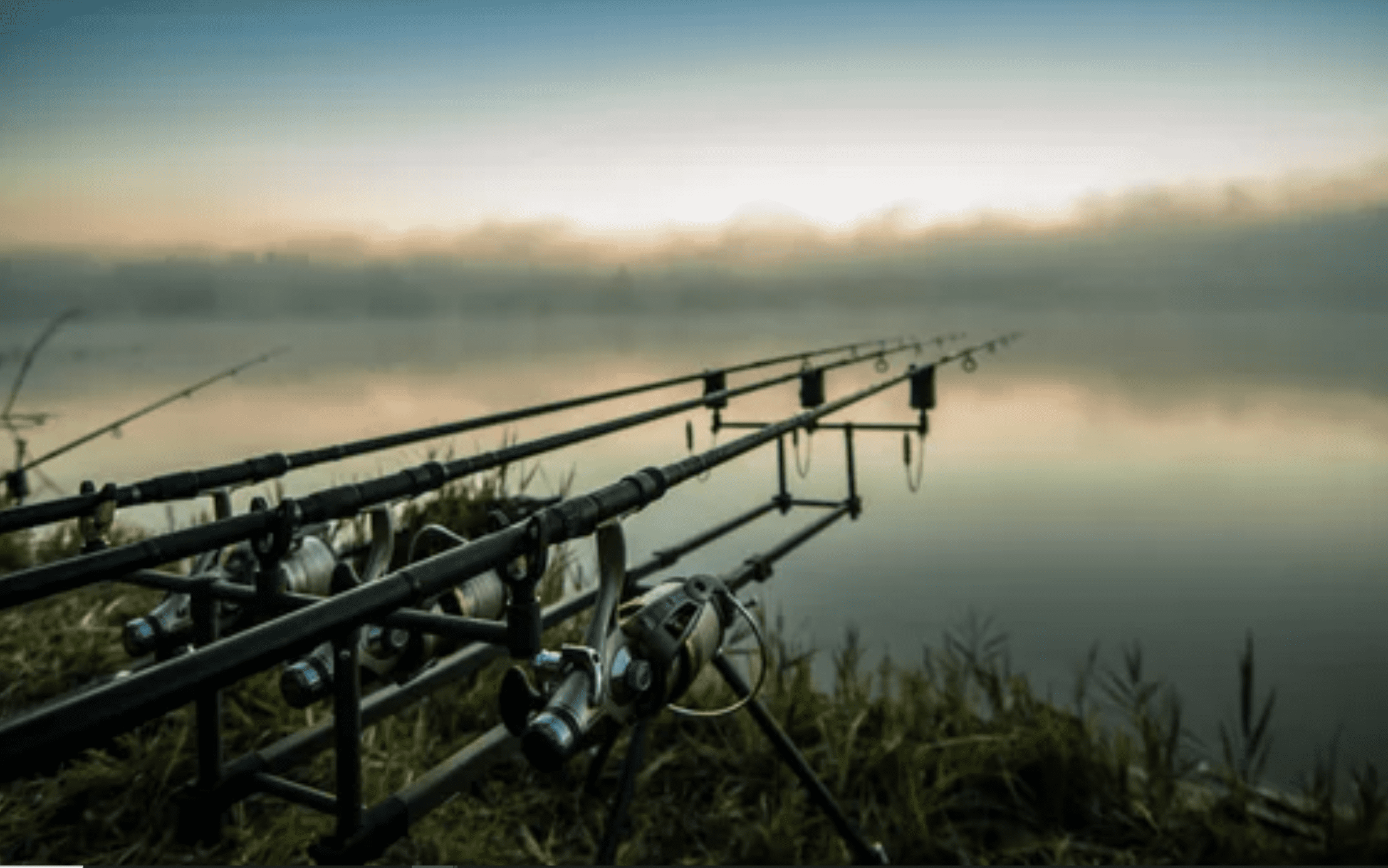 Carp Fishing Rod - The Essential Guide to Selecting a Quality Rod