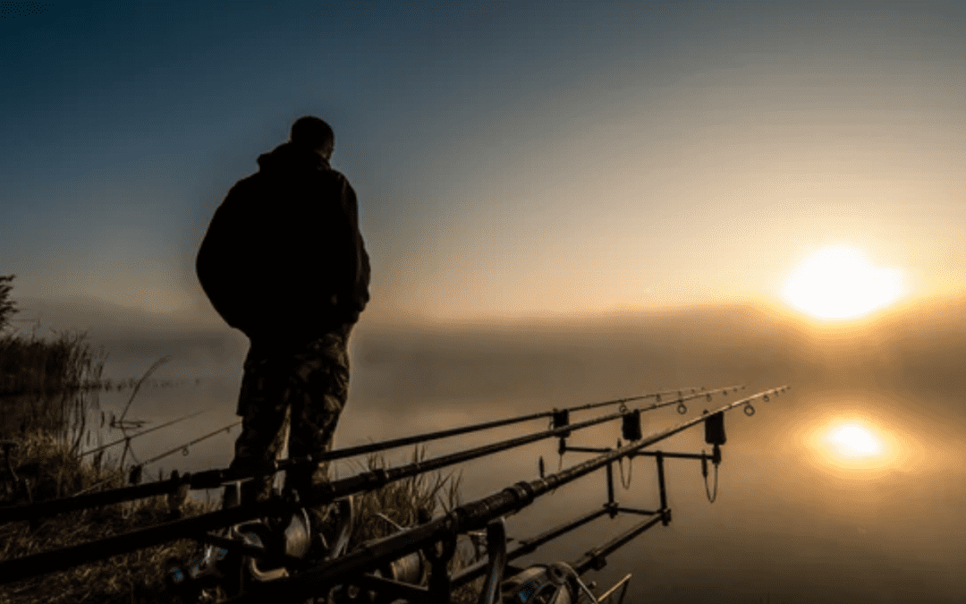 Where to Catch Carp at Different Times of the Year