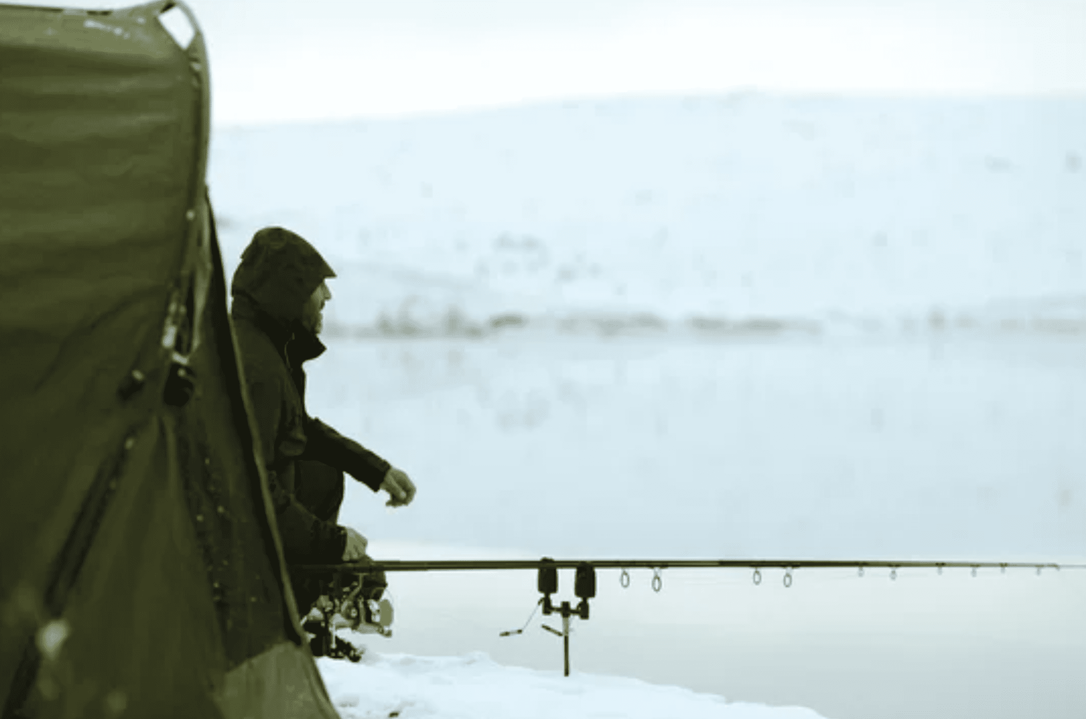 Carp Fishing in Winter Tips and Tricks for Success