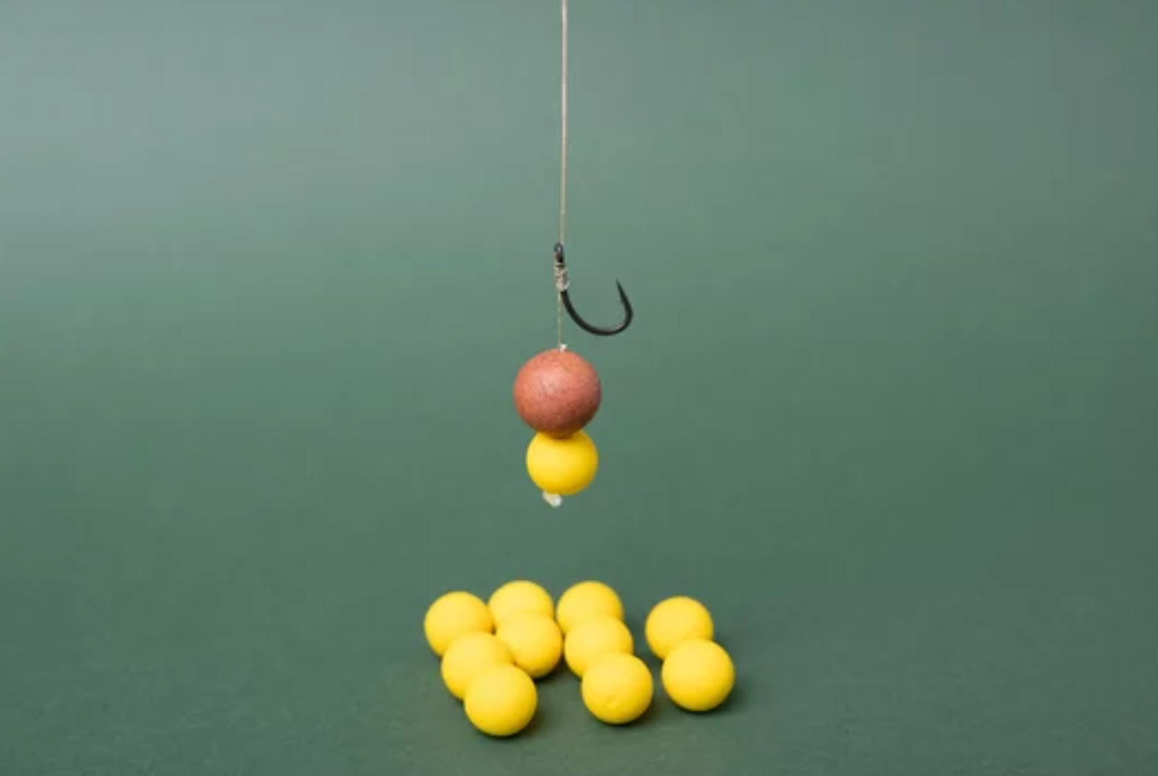 Get Hooked on Carp Fishing A Basic Guide to Rigs Fishing Again